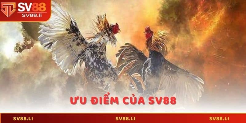 Những ưu điểm của SV88 so với các sàn cá cược khác