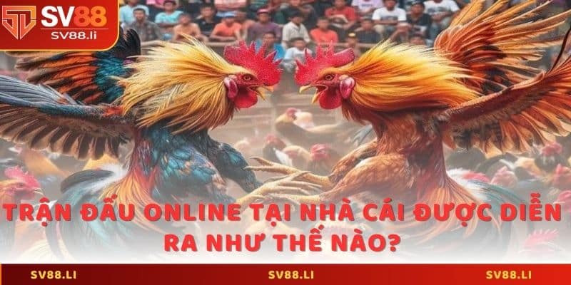 Trận đấu online tại nhà cái được diễn ra như thế nào?
