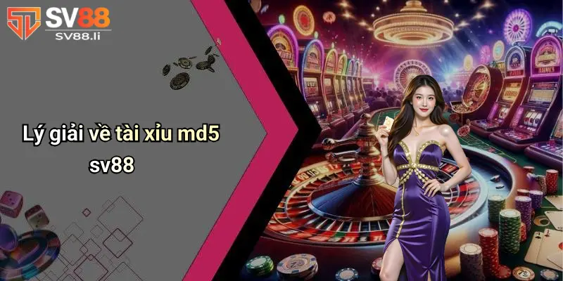 Lý giải về Tài Xỉu MD5 SV88
